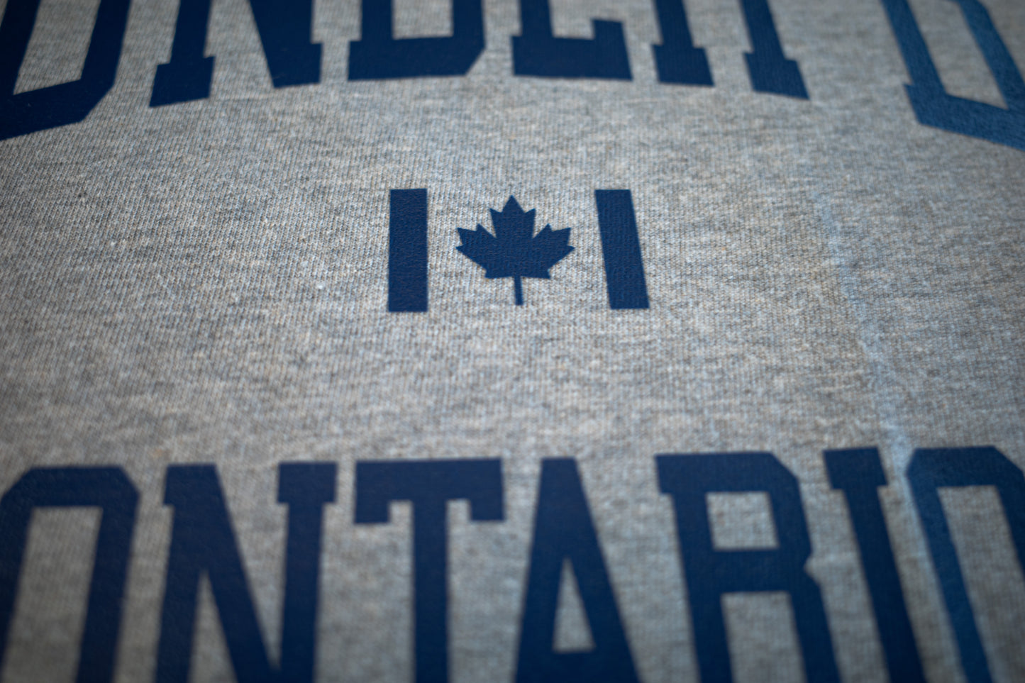 Grey Shirt With Thunder Bay Ontario in Blue Printed on Front