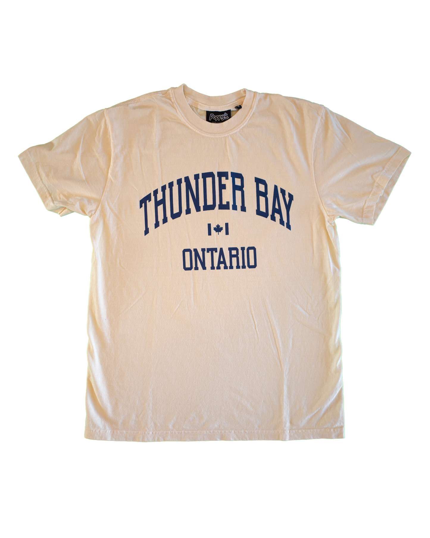 Beige t-shirt with 'Thunder Bay Ontario' text printed in navy blue