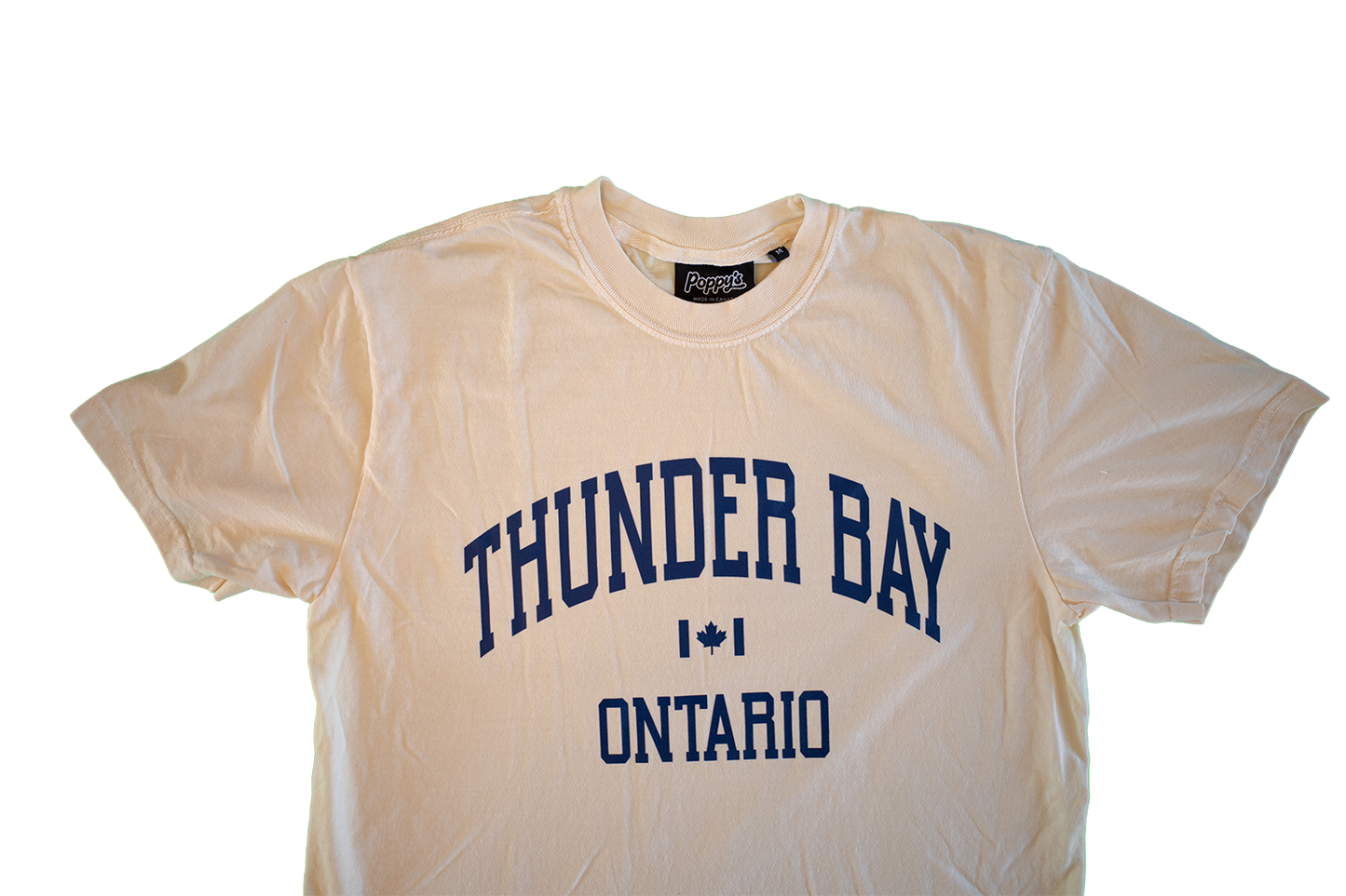Ivory T-Shirt With Thunder Bay Ontario in Blue Printed on Front 