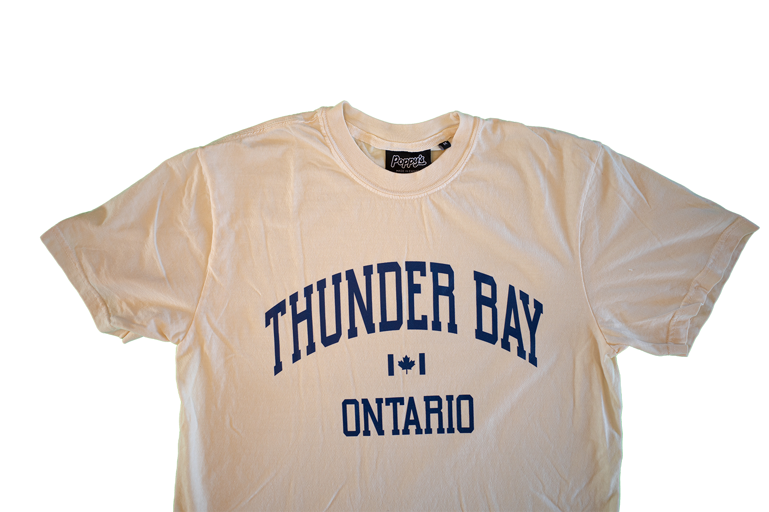 Ivory T-Shirt With Thunder Bay Ontario in Blue Printed on Front 